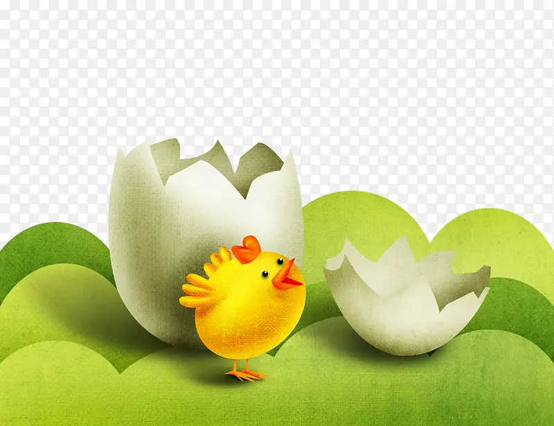 大树小鸡蛋壳