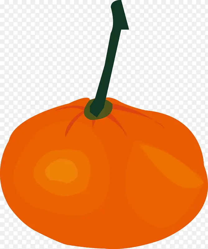 橘子矢量图