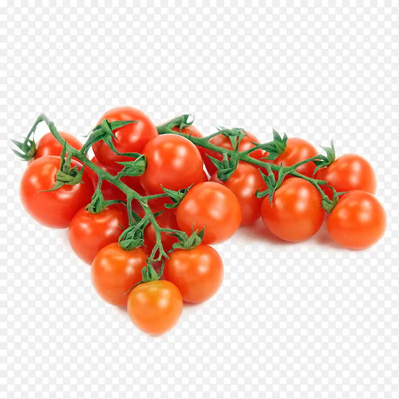 蔬菜 番茄