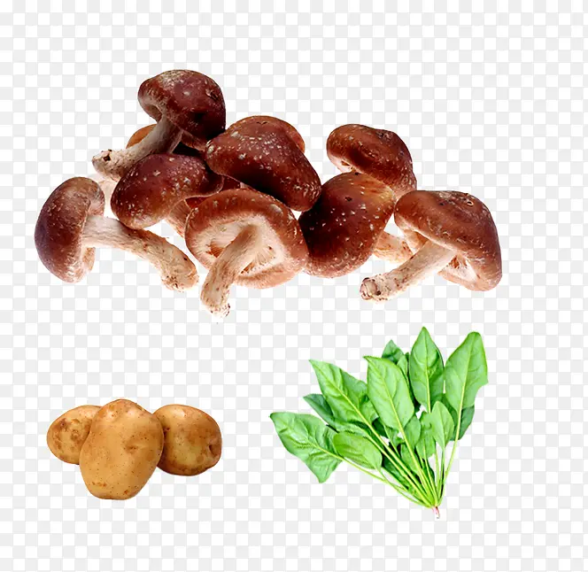 蘑菇土豆