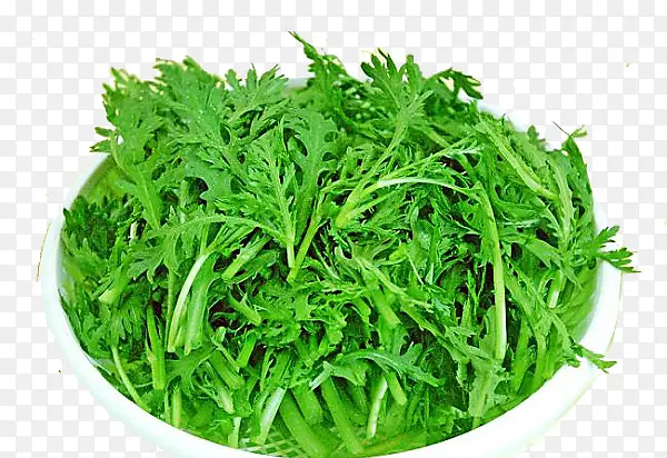 茼蒿绿色