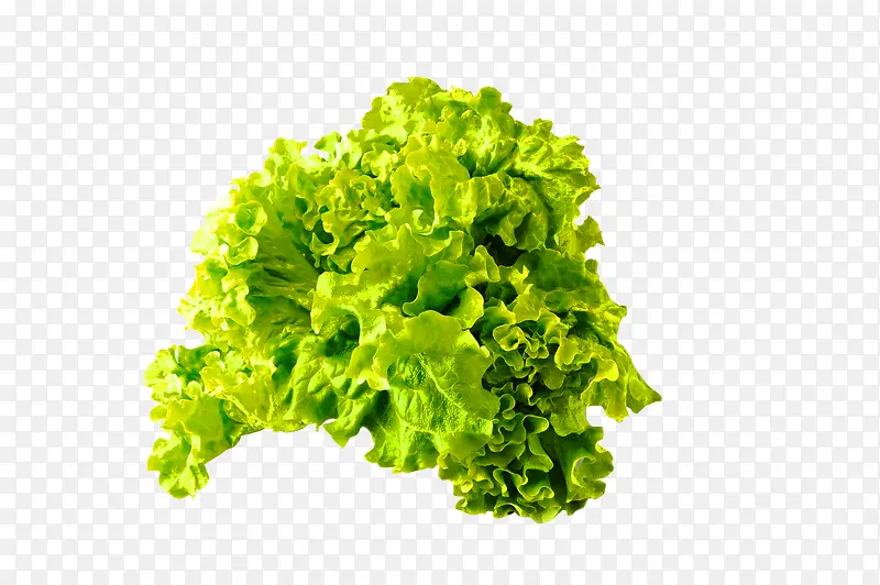 绿色简约蔬菜装饰图案
