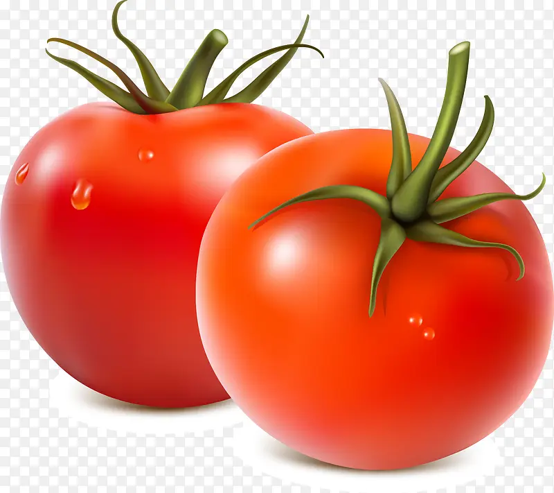 红色 西红柿