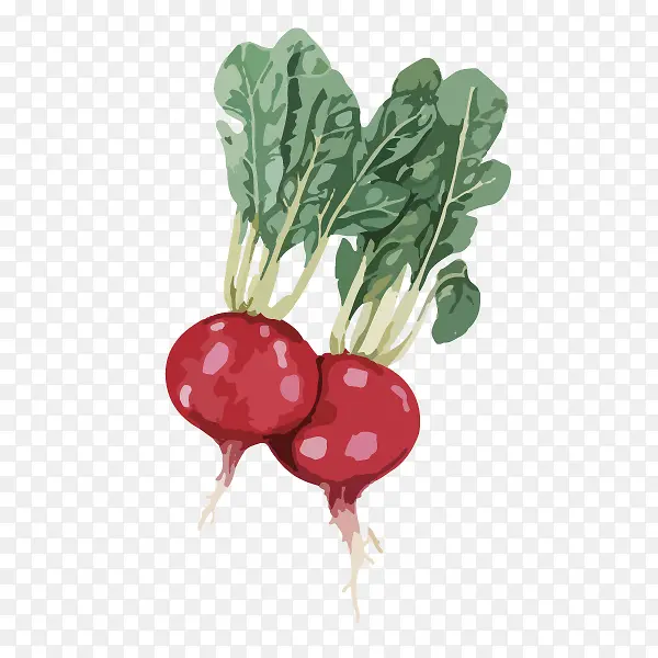 卡通手绘蔬菜装饰海报设计萝卜