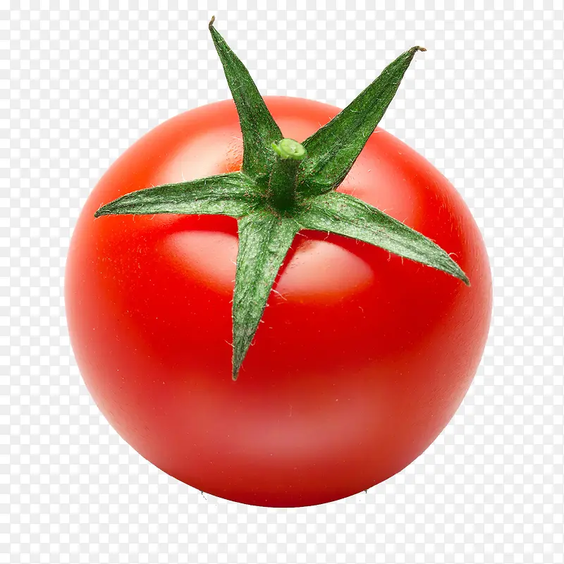 西红柿蔬菜