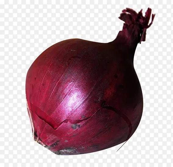 洋葱食物