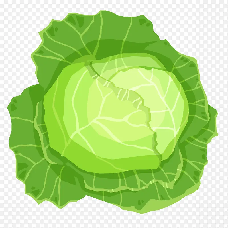 绿色蔬菜包菜