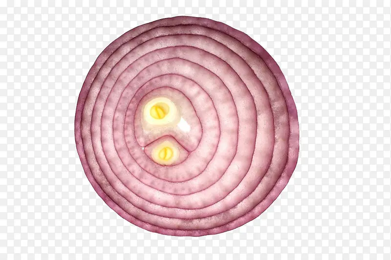 洋葱
