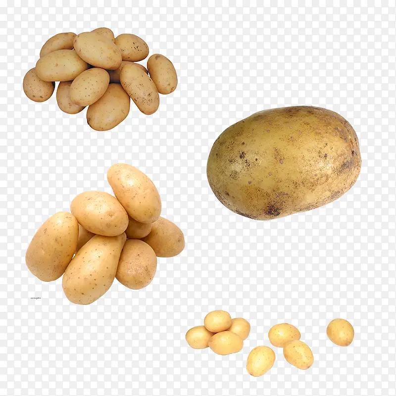 土豆素材