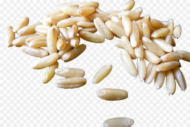 燕麦米粒