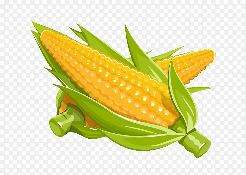 玉米效果图