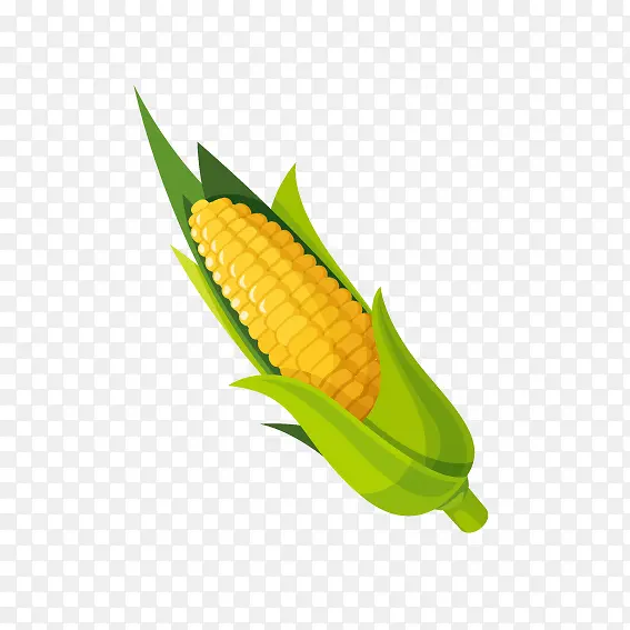 庄稼玉米