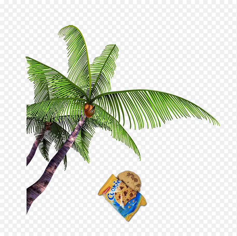 休闲椰子树