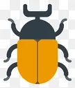 平面甲虫