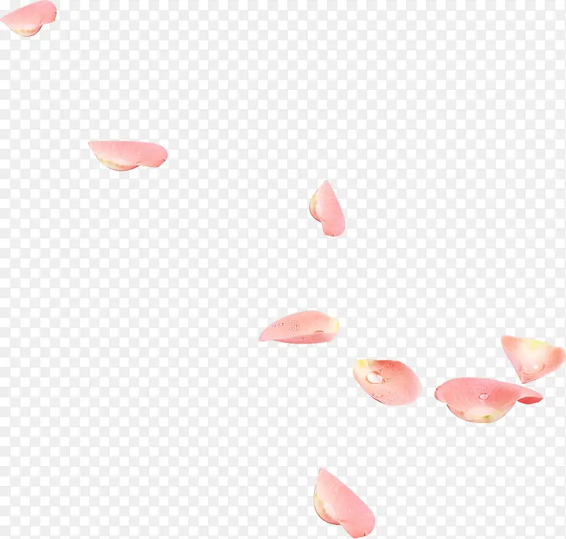粉色唯美漂浮花瓣意境