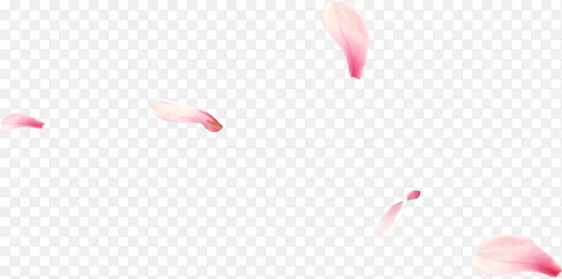 漂浮粉色花瓣春天装饰