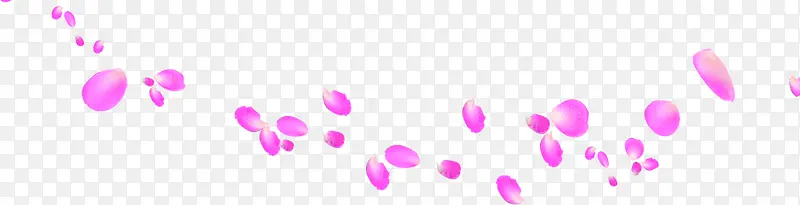 粉色鲜花花瓣飘浮