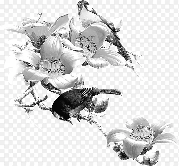 水墨画花枝上的雀鸟毛笔字