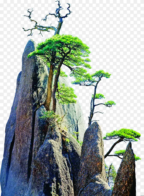 青山悬崖毛笔字景观