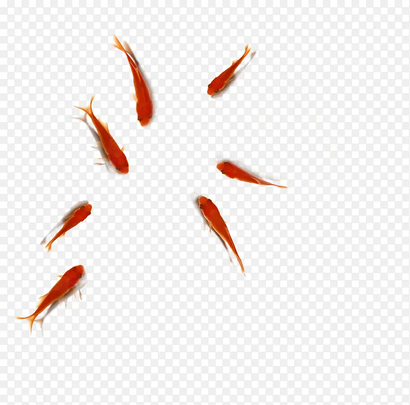 红色鲤鱼毛笔字素材