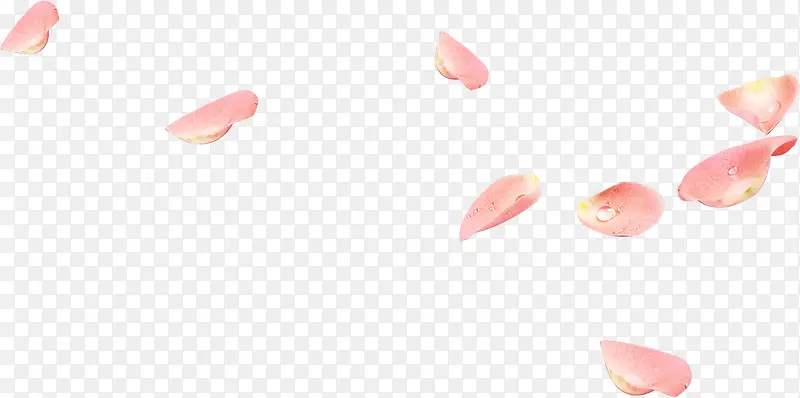 粉色花瓣婚庆背景图片