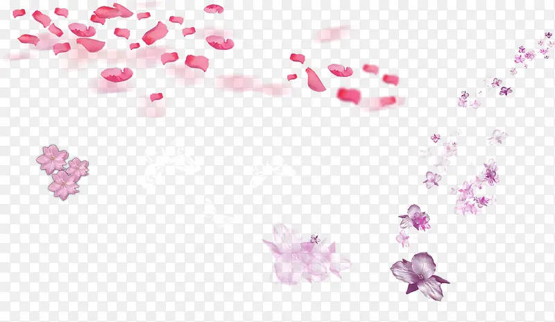 粉色紫色花瓣