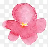 手绘粉色花瓣装饰