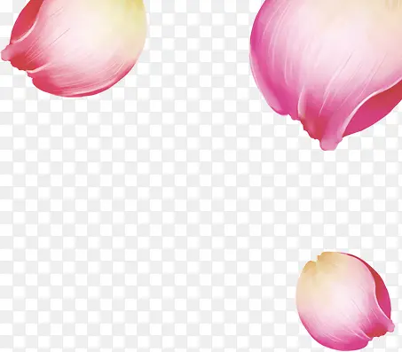 粉色手绘玫瑰花瓣中秋