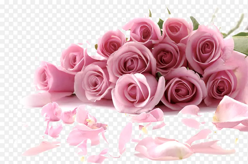 粉色浪漫玫瑰花束