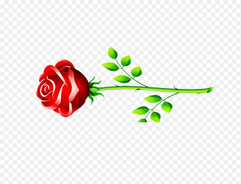 鲜花