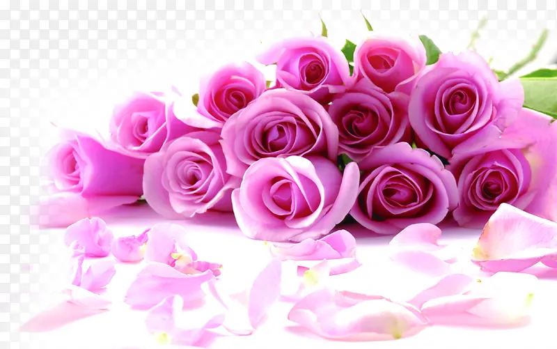 粉色玫瑰花花瓣装饰