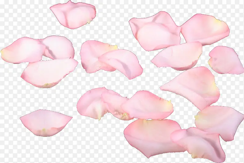 粉色手绘花瓣美好