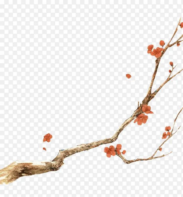 梅花花枝手绘图片