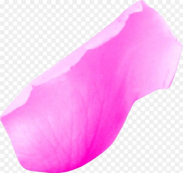 粉色花瓣高清摄影合成