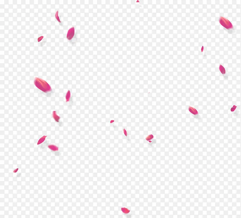 粉色漂浮花瓣海报