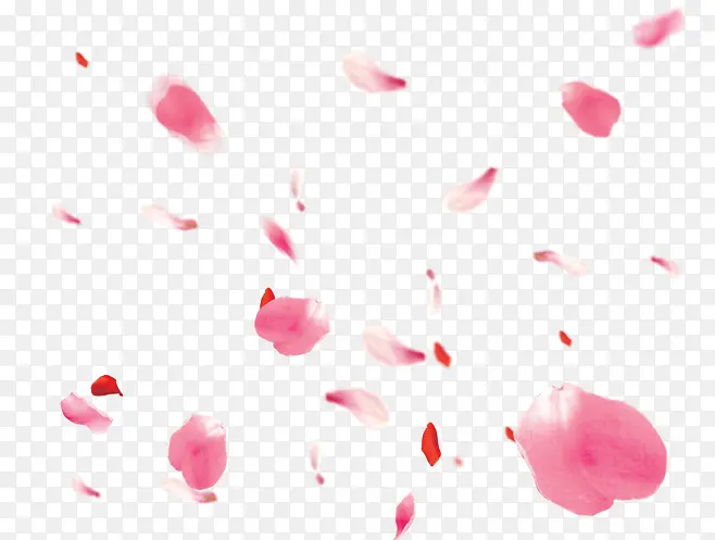 粉色漂浮粉红色花瓣