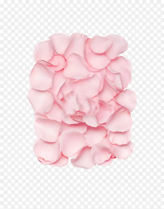 粉色玫瑰花瓣造型