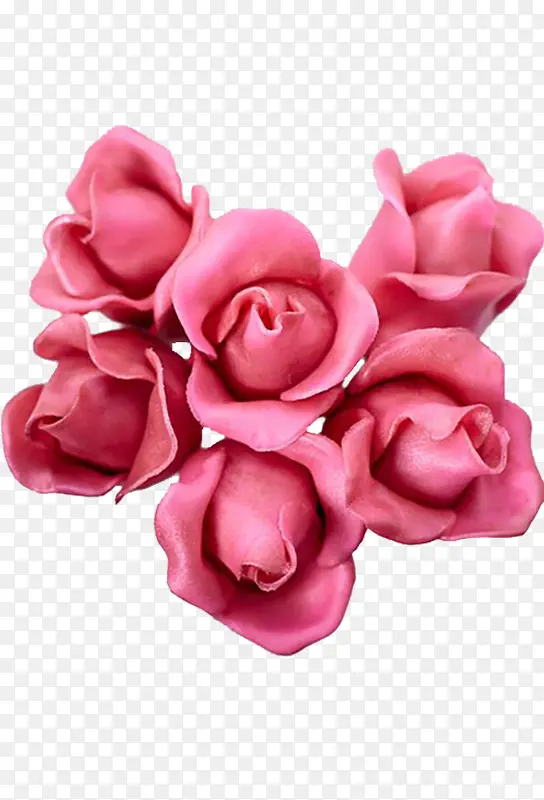 玫瑰花卉手绘