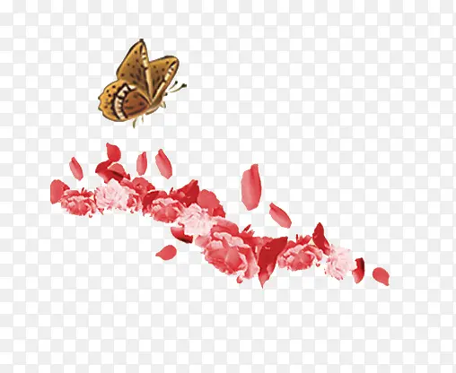 粉色玫瑰花瓣漂浮