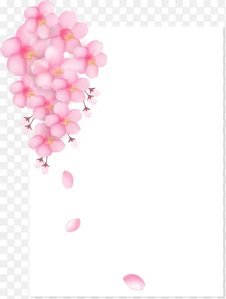 粉色花朵花瓣