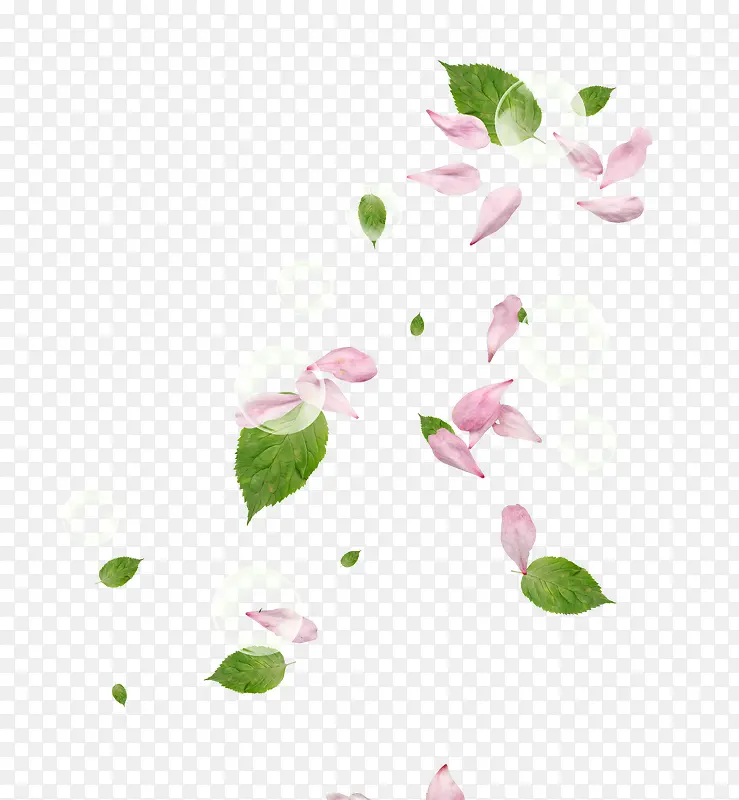 粉色飘浮花瓣植物树叶气泡