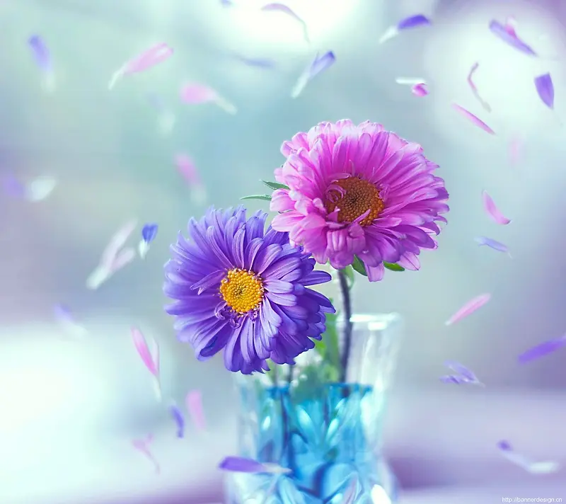 粉色紫色花朵花瓣素材