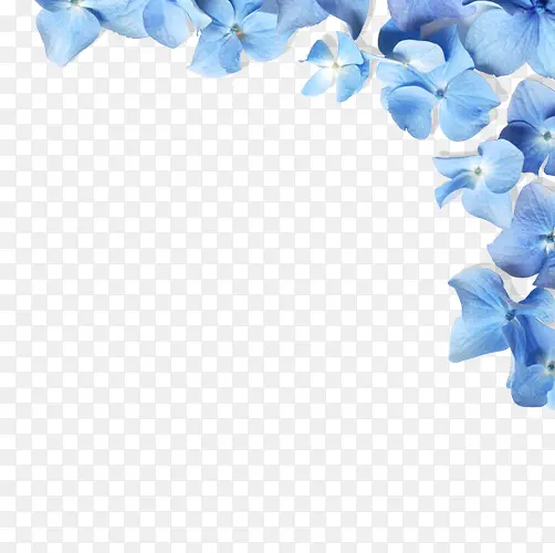 蓝色清新花朵边框纹理