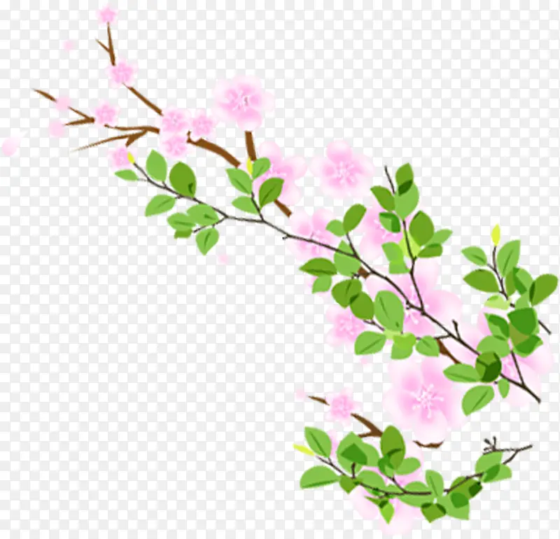 春天粉色女装花朵