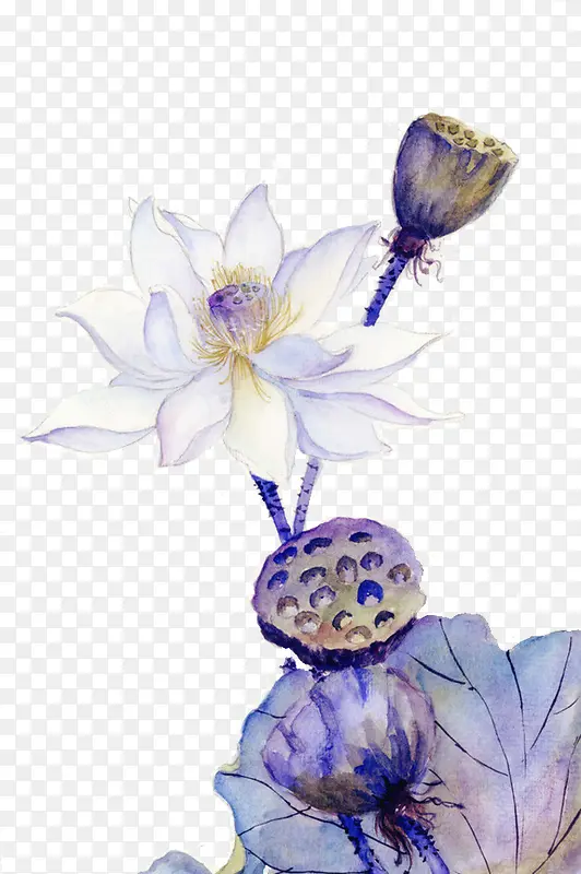 古韵莲花