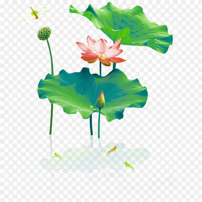 绿色中国风荷花装饰图案