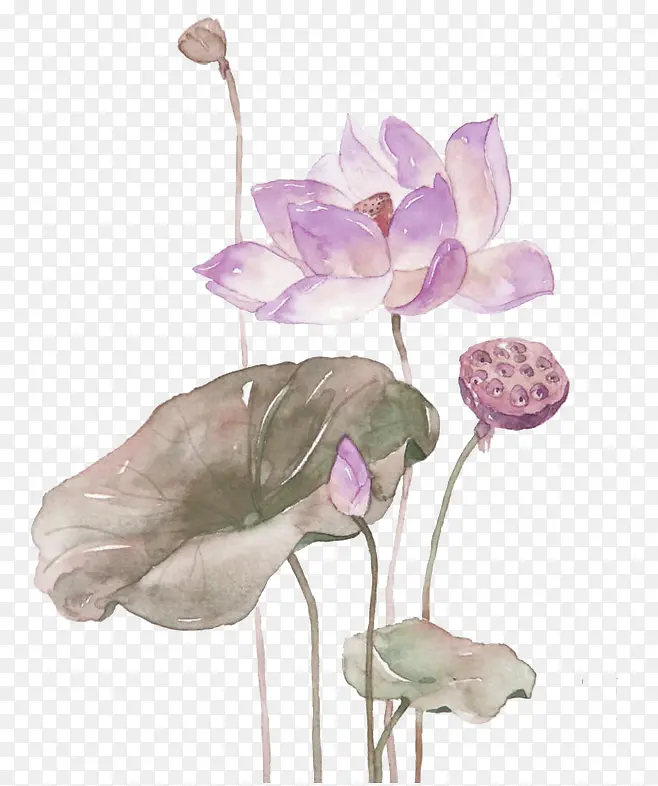 紫色中国风荷花装饰图案