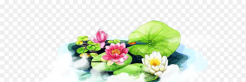 手绘荷花