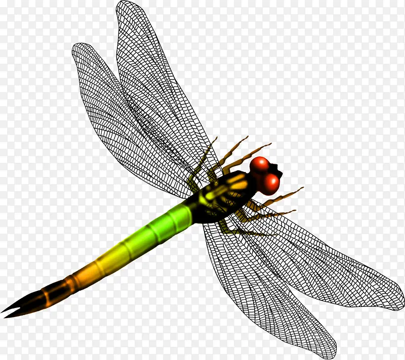 唯美蜻蜓翅膀