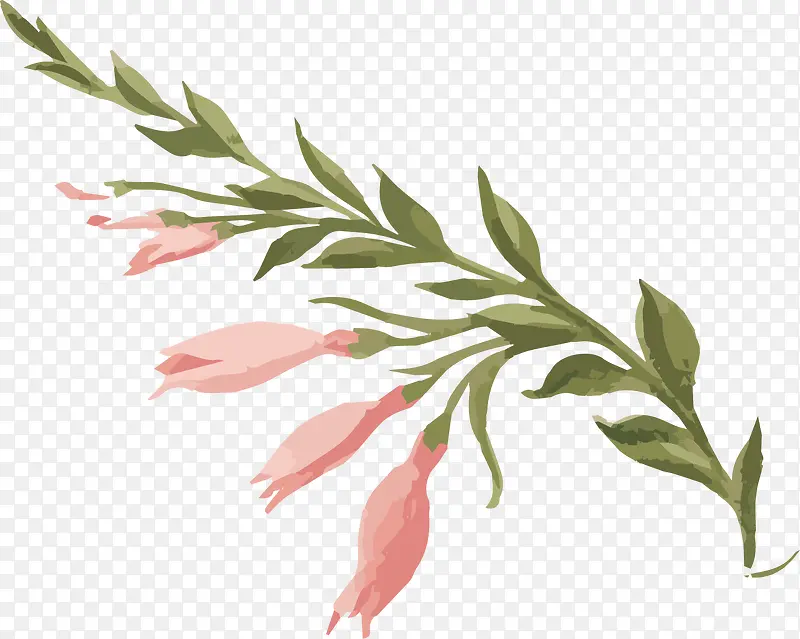 手绘水彩粉色花朵